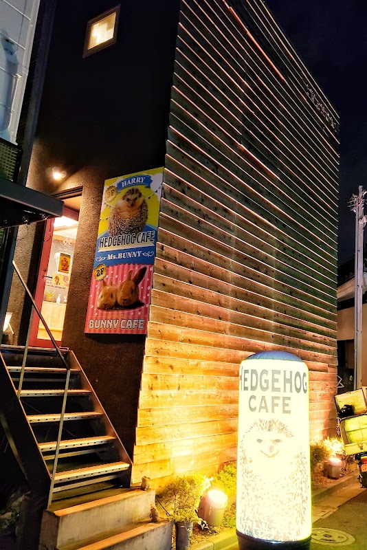 HARRY Hedgehog Cafe Roppongi