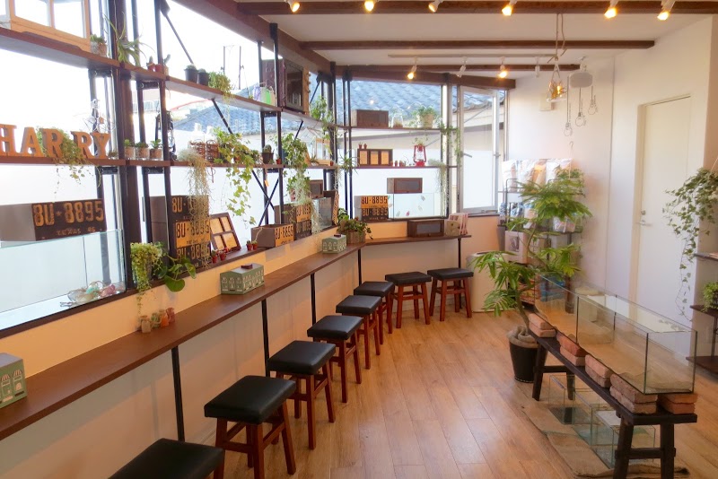 HARRY Hedgehog Cafe Roppongi