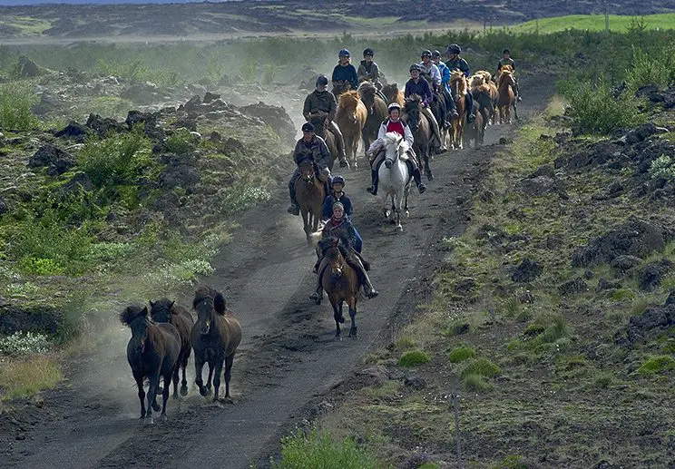 Hella Horse Country