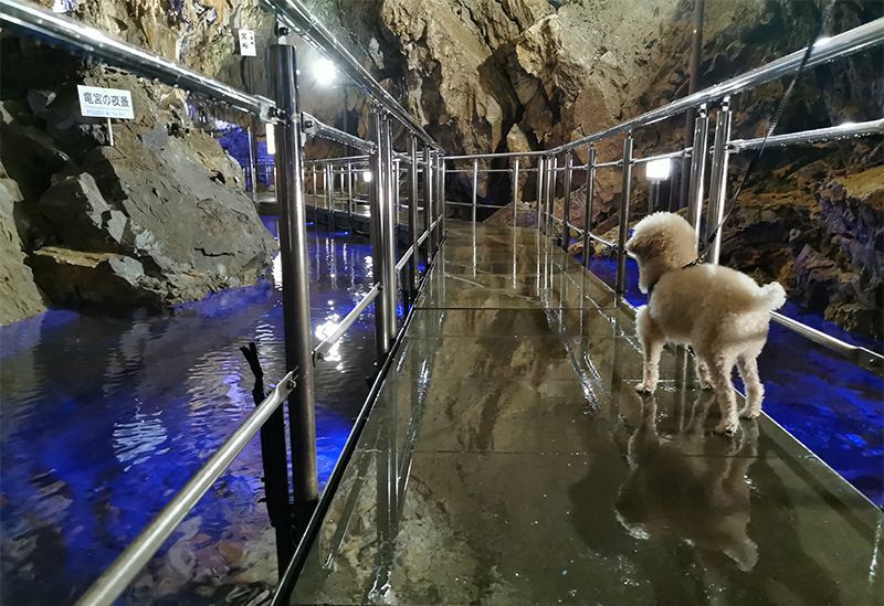 Hida Great Limestone Cave