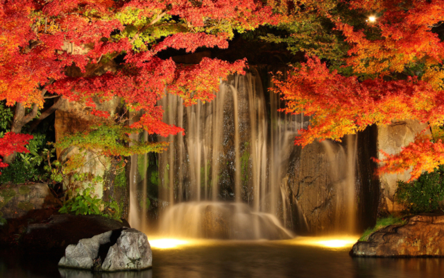 Himeji Castle Autumn Foliage