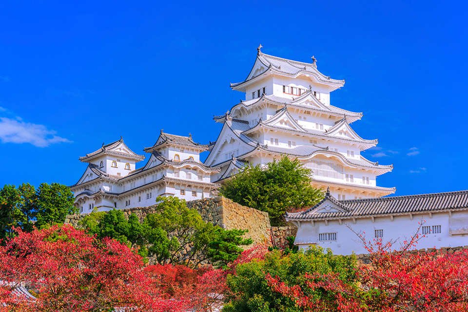 Himeji Castle Autumn Foliage