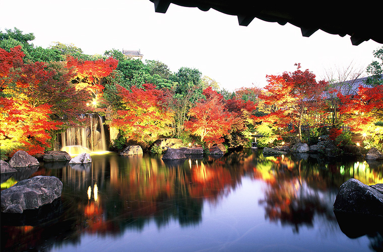 Himeji Castle Autumn Foliage
