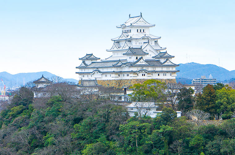 Himeji Castle Dango