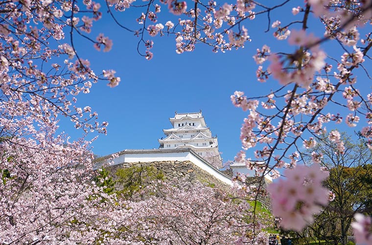 Himeji Castle Dango
