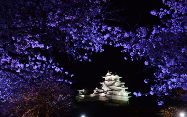 Himeji Castle Night Illumination