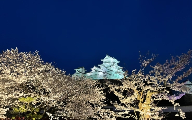 Himeji Castle Night Illumination