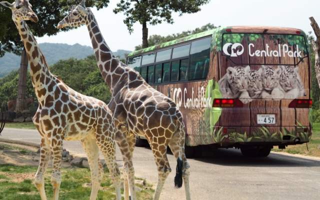 Himeji Central Park Safari