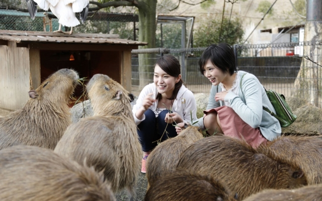 Himeji Central Park Safari