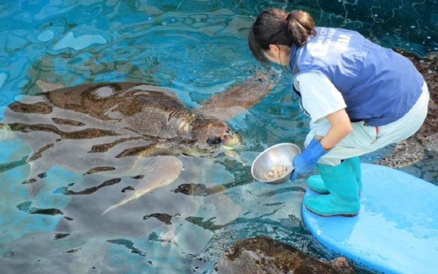 Himeji City Aquarium