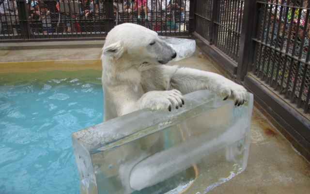 Himeji City Zoo