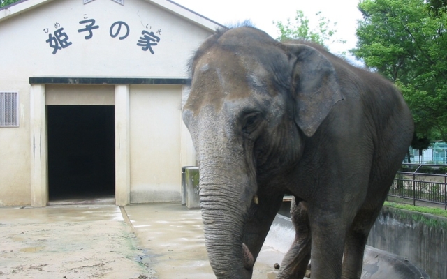 Himeji City Zoo