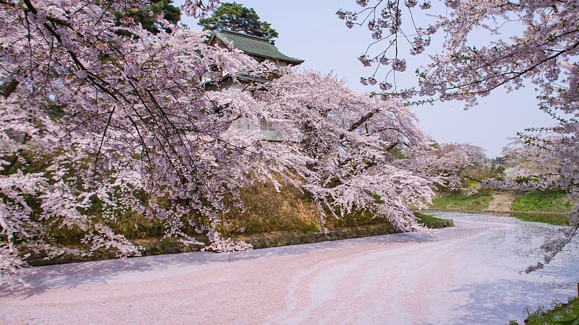Hirosaki Castle and Park