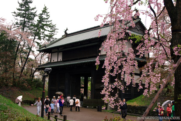 Hirosaki Walking Tour