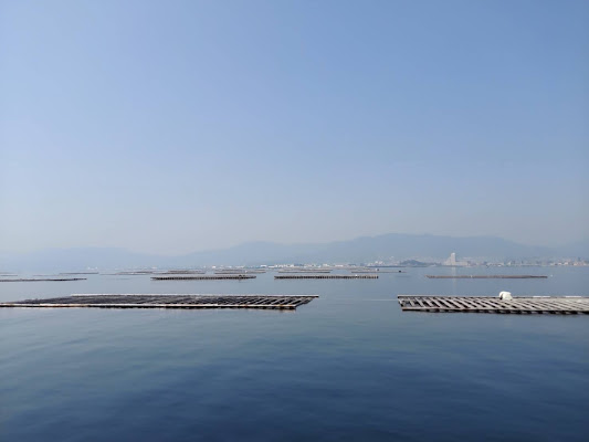 Hiroshima Oyster Boat