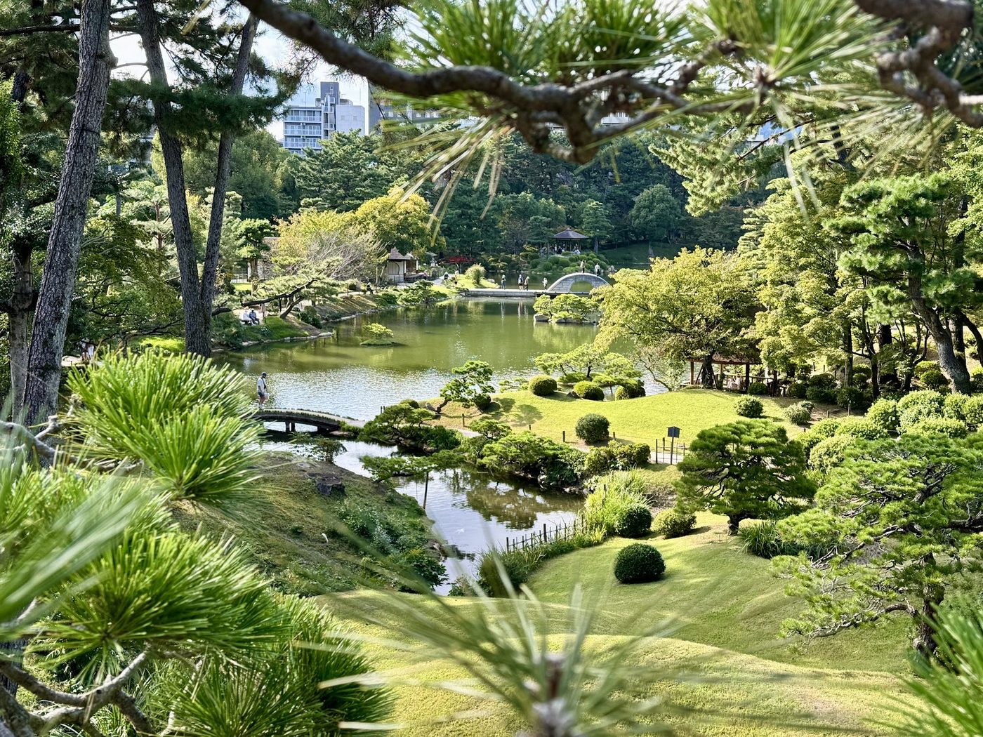 Hiroshima Shukkeien Night