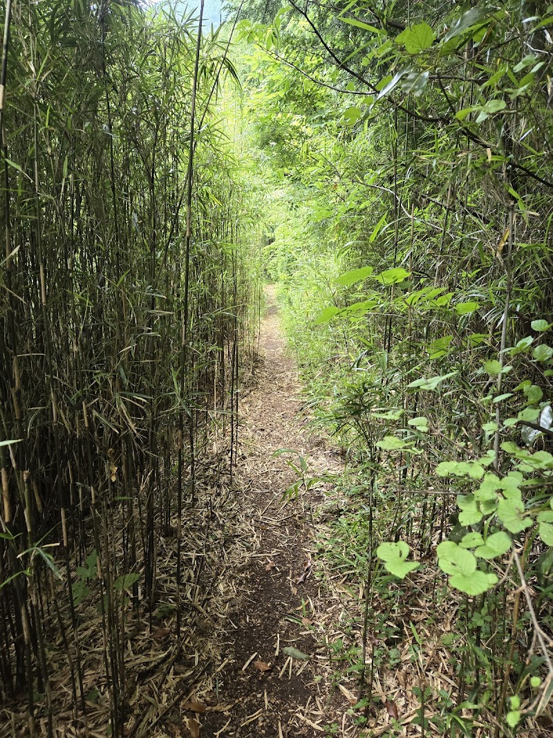 Hiryu Falls Trail