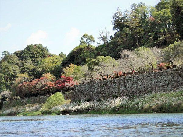 Hitoyoshi