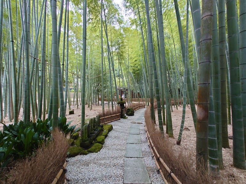 Hokokuji Temple