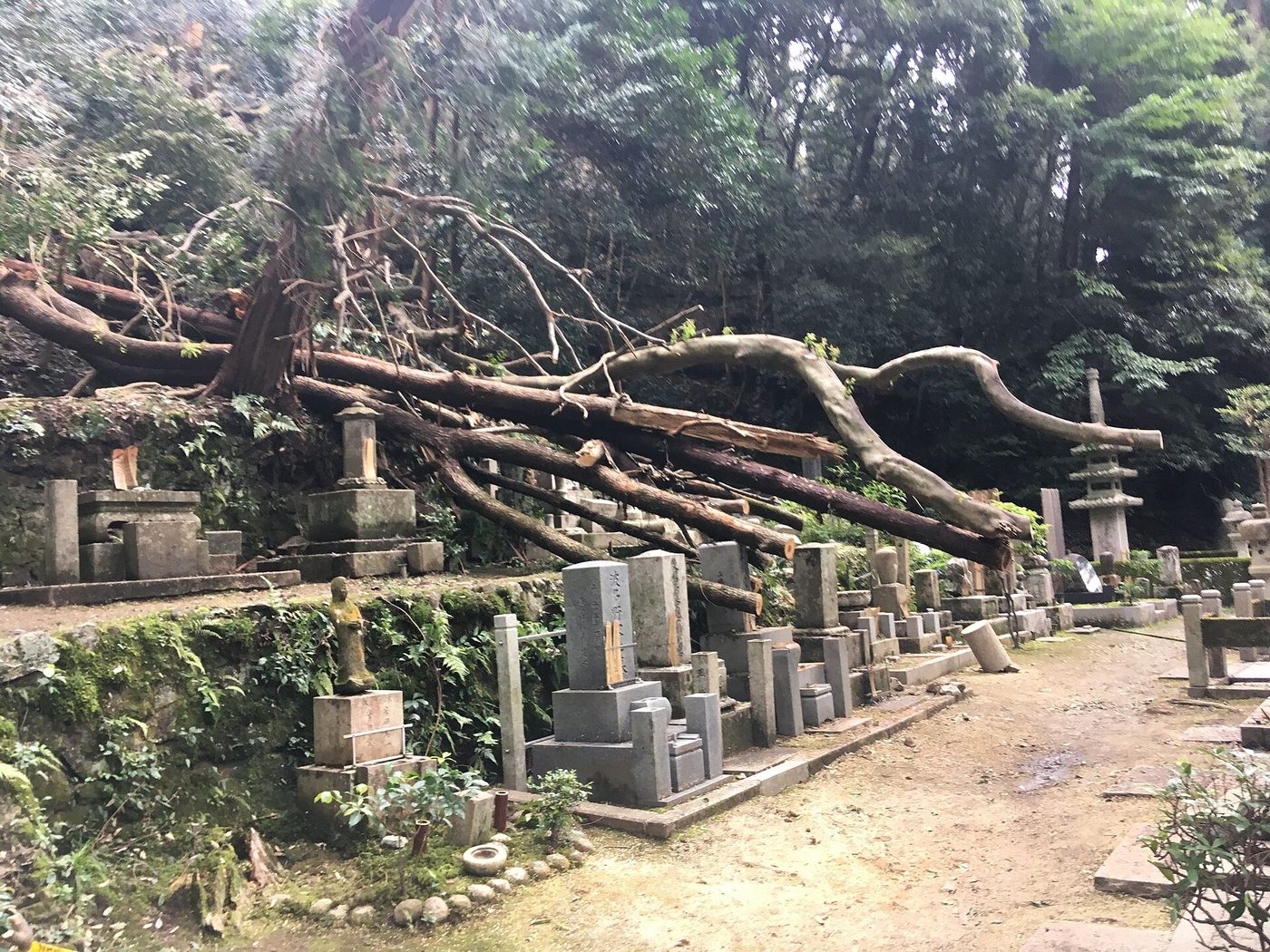 Honen-in Temple