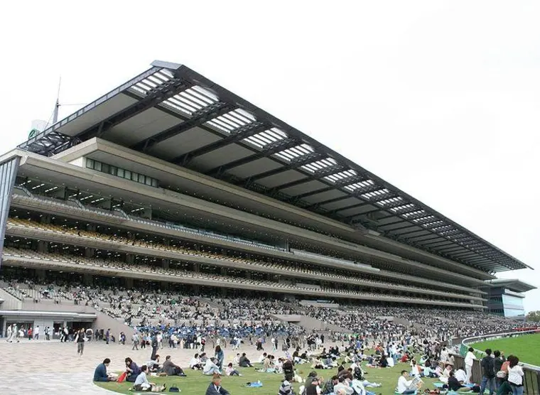 Horse Racing at Tokyo Racecourse