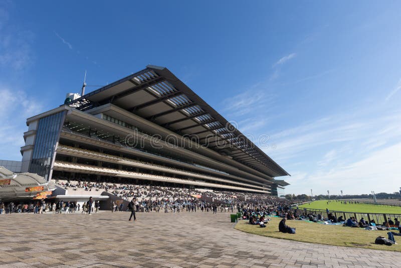 Horse Racing at Tokyo Racecourse
