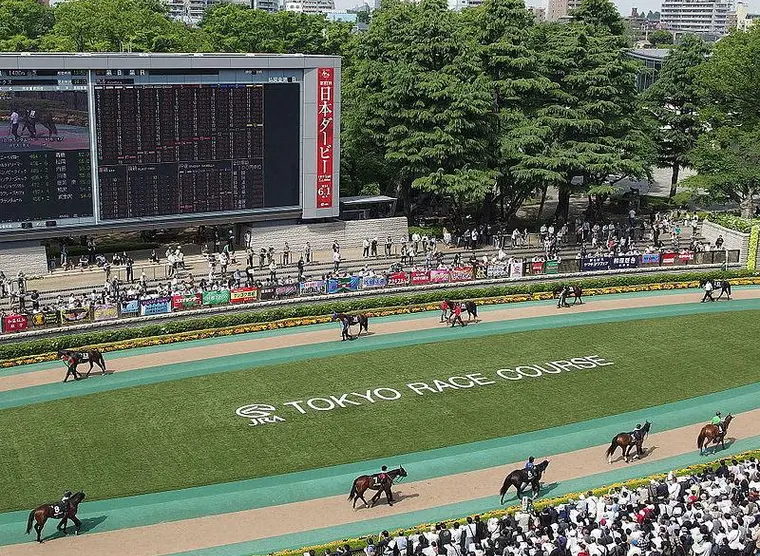 Horse Racing at Tokyo Racecourse