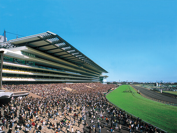 Horse Racing at Tokyo Racecourse