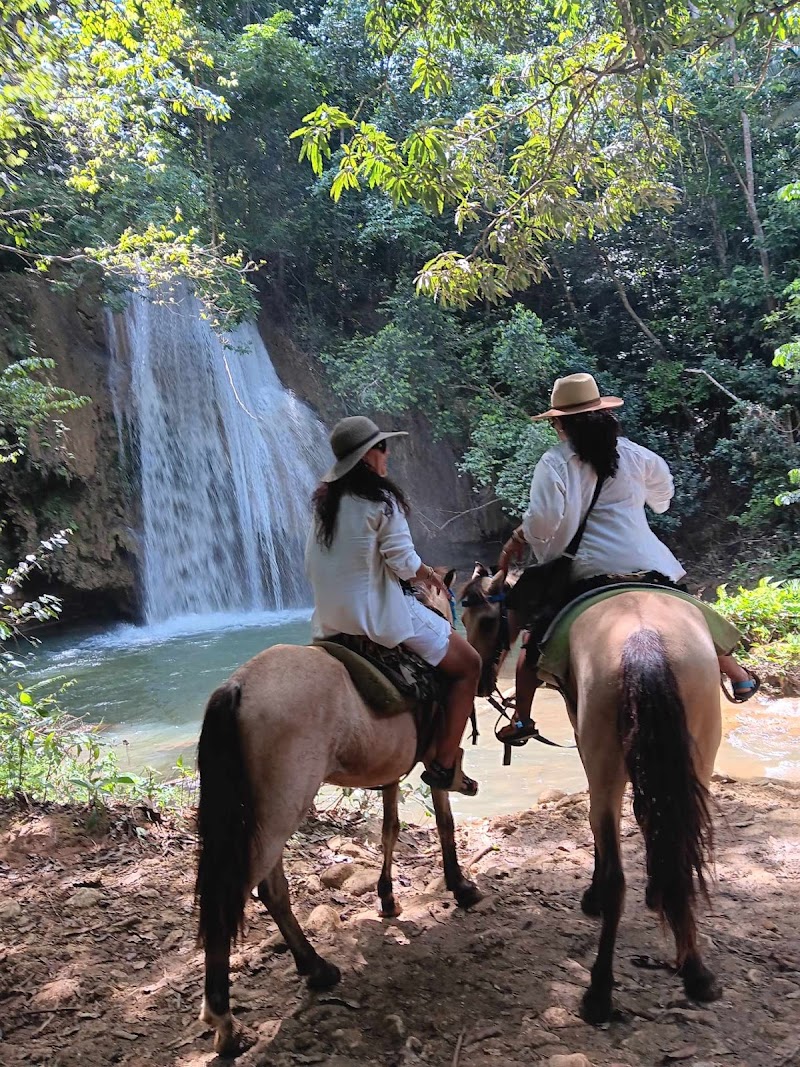 Horseback Ride to El Limón