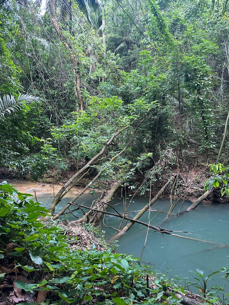 Horseback Ride to El Limón