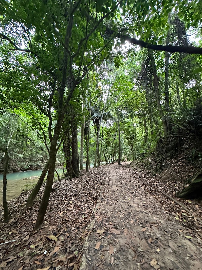 Horseback Ride to El Limón