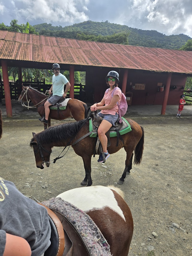 Horseback Ride to Waterfall