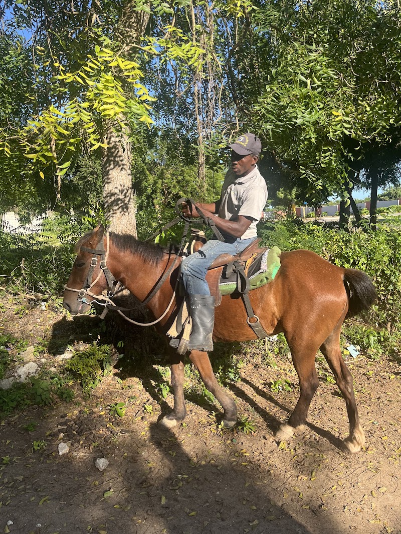 Horseback Riding on Macao Beach