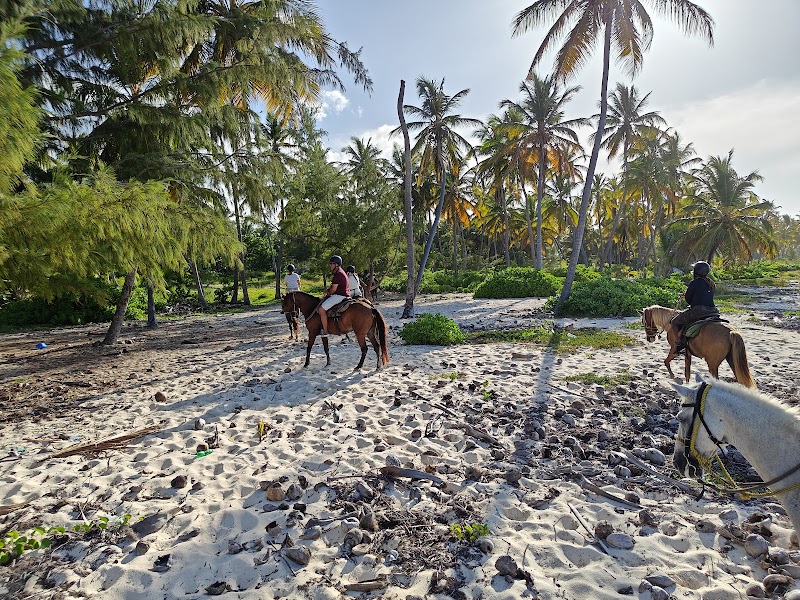 Horseback Riding on Macao Beach