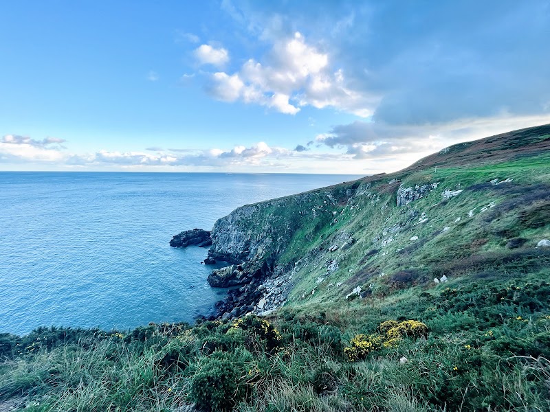 Howth (Cliff Walk & Seafood)