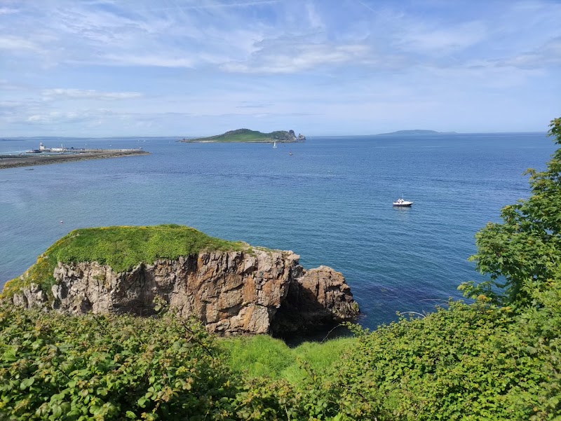 Howth (Cliff Walk & Seafood)