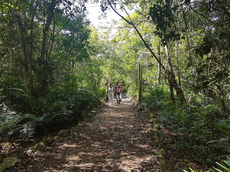 Hoyo Azul Cenote