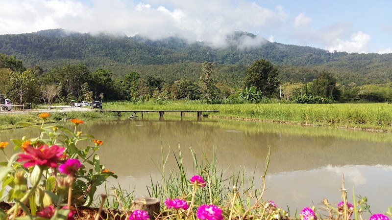 Huay Tung Tao Lake