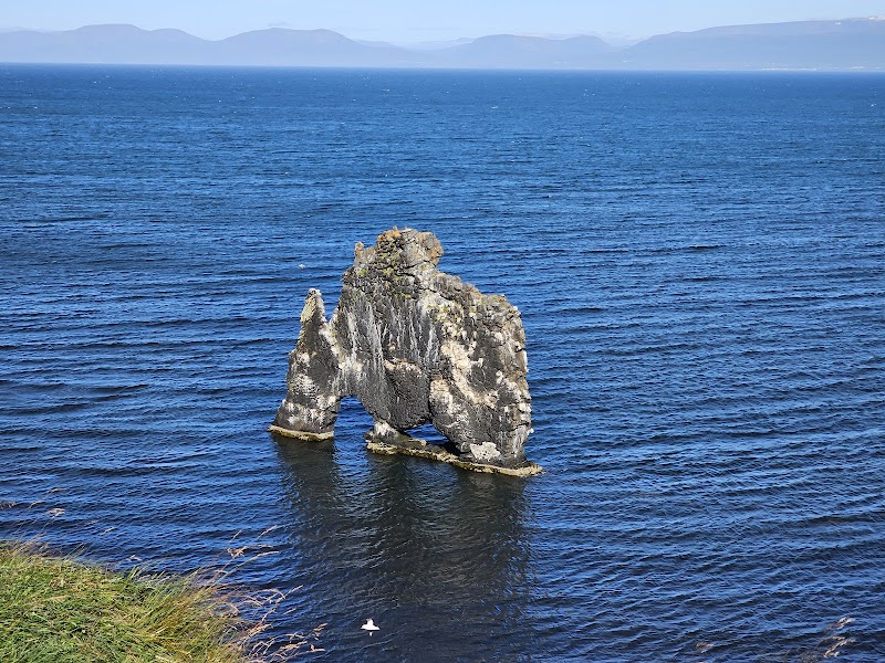 Hvítserkur Sea Stack