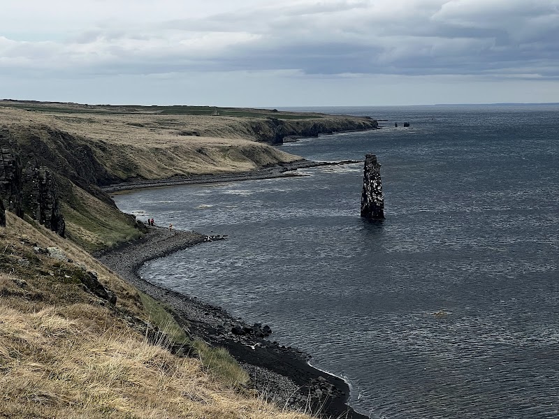 Hvítserkur Sea Stack