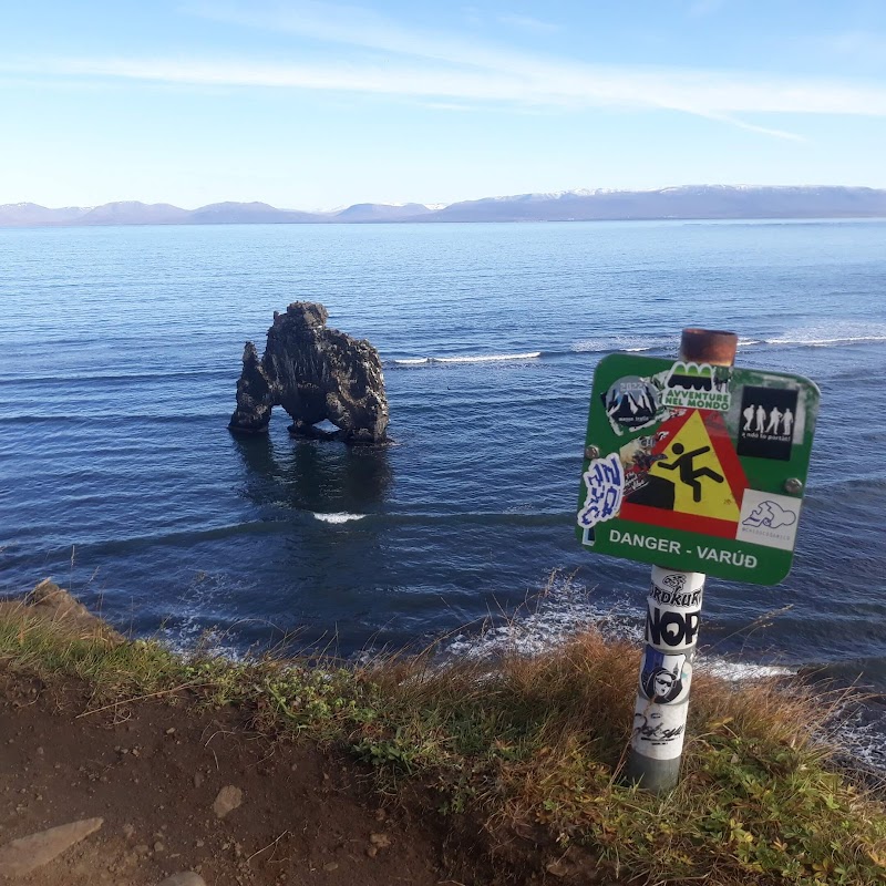 Hvítserkur Sea Stack