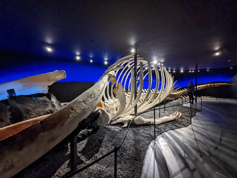 Húsavík Whale Museum