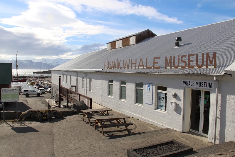 Húsavík Whale Museum