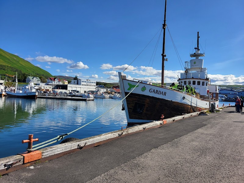 Húsavík Whale Watching