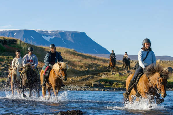 Icelandic Horse Riding