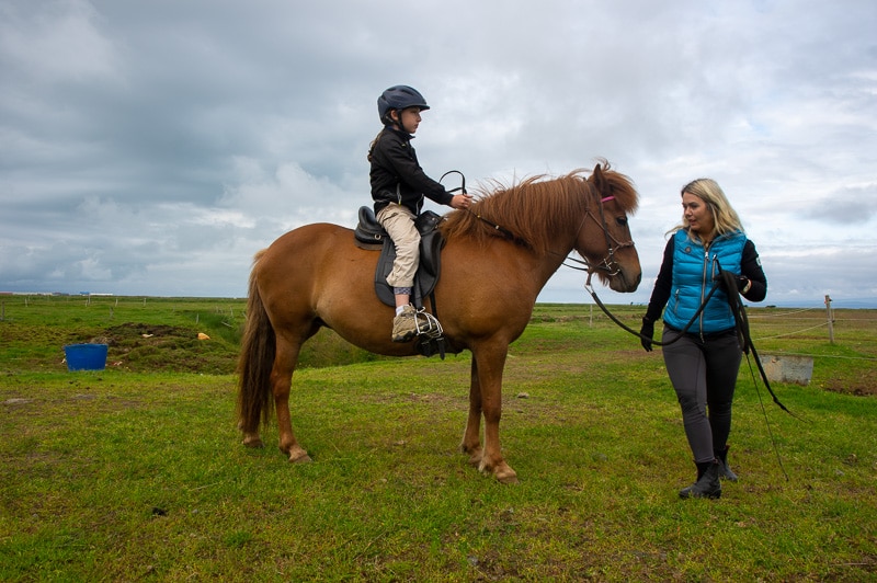 Icelandic Horse Riding
