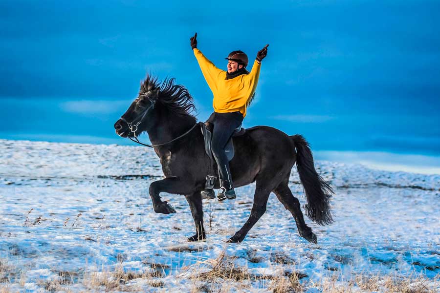 Icelandic Horse Riding