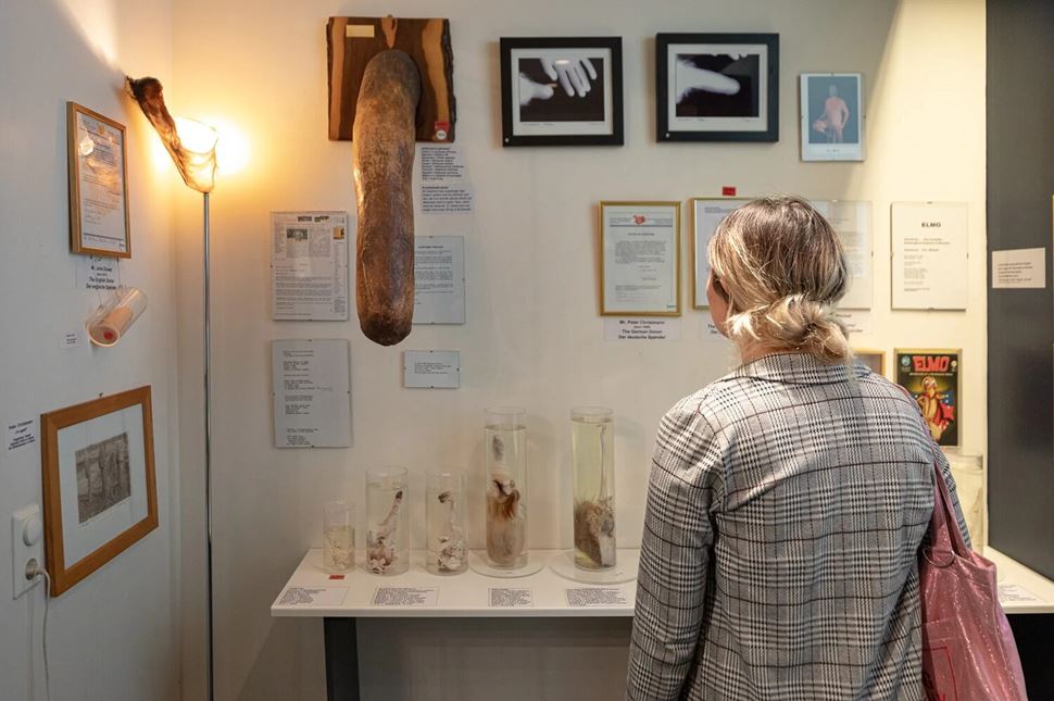 Icelandic Phallological Museum