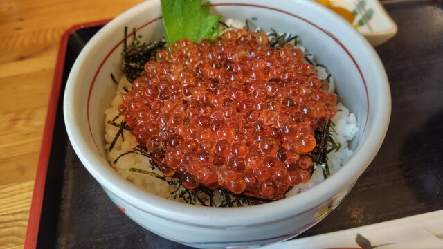 Ikura Don (Salmon Roe Bowl)