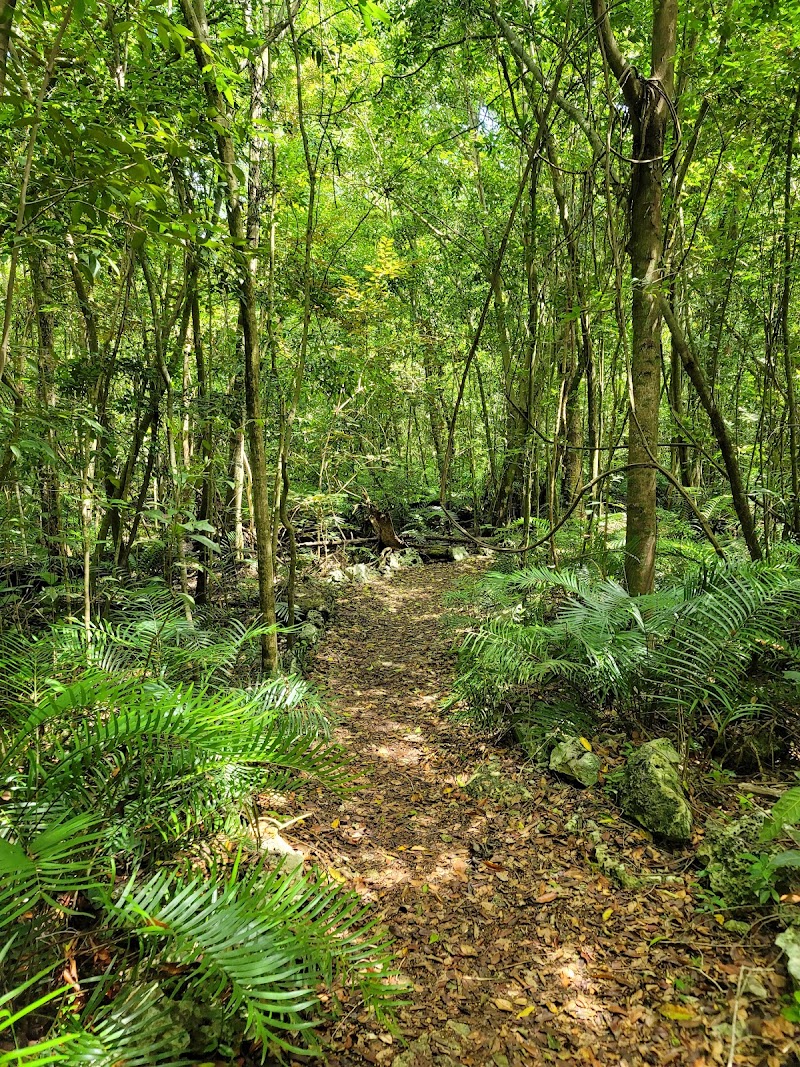 Indigenous Eyes Ecological Park